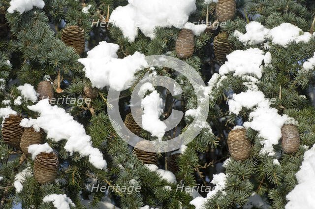 Eltham Palace, Court Yard, Eltham, Greenwich, London, 2009. Creator: Derek Kendall.