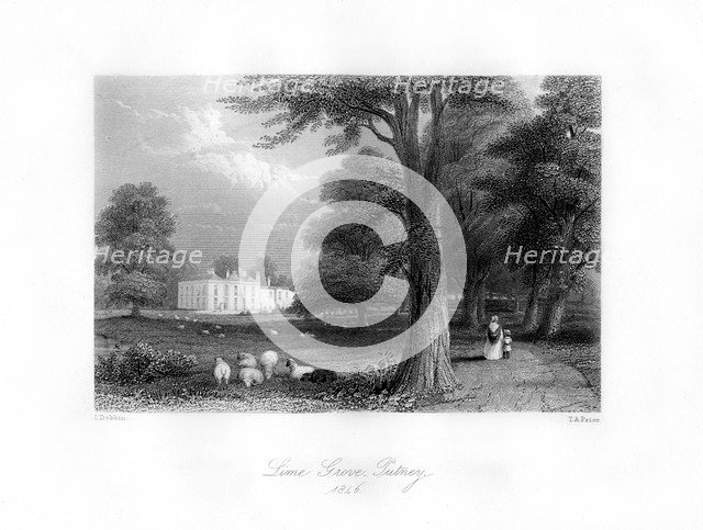 Lime Grove, Putney, 1846.Artist: TA Prior