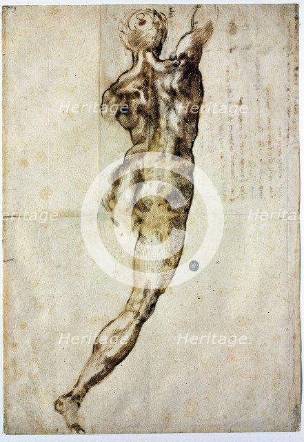 Nude from behind, c. 1504. Artist: Buonarroti, Michelangelo (1475-1564)