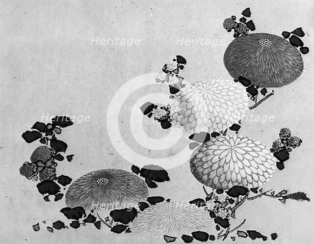 Chrysanthemums, 19th century. Creator: Hokusai School.