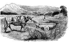 Reconstruction of Roman reaping cart, as described by Pliny, Engraving, 1860. Artist: Unknown