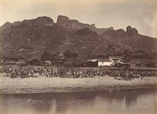 Duck Market, ca. 1869. Creator: Afong Lai.