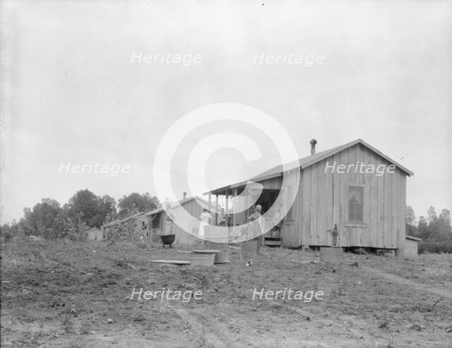 New cabins at Hill House, Mississippi, 1936. Creator: Dorothea Lange.