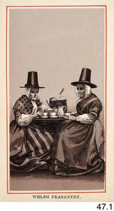 Welsh Peasantry, c1860s-1880s. Creator: Charles Smith Allen.