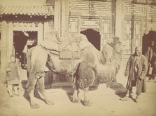 Pekin. No. 923, 1867. Creator: Attributed to Lai Fong.