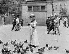 Feeding the pigeons, Boston Common, possibly 1911 or 1912. Creator: William H. Jackson.