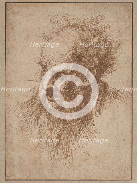 An Elderly Man with a Flowing Beard. Creator: Unknown.