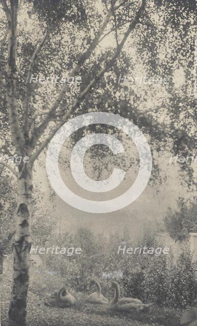 Rodin's Garden, c.1893. Creator: Gertrude Kasebier.