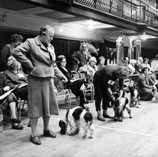 Owners parading their dogs at a London dog show, possibly Crufts, 1964. Artist: Henry Grant