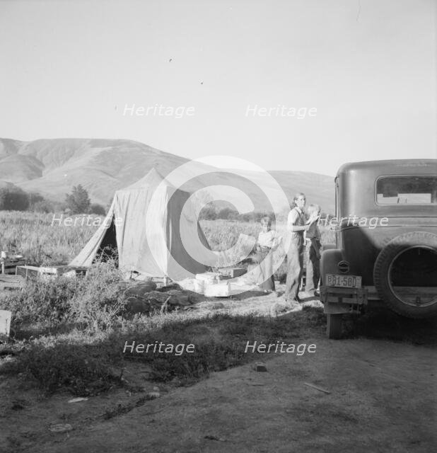 Fatherless migratory family camped behind gas station, Yakima Valley, Washington, 1939. Creator: Dorothea Lange.