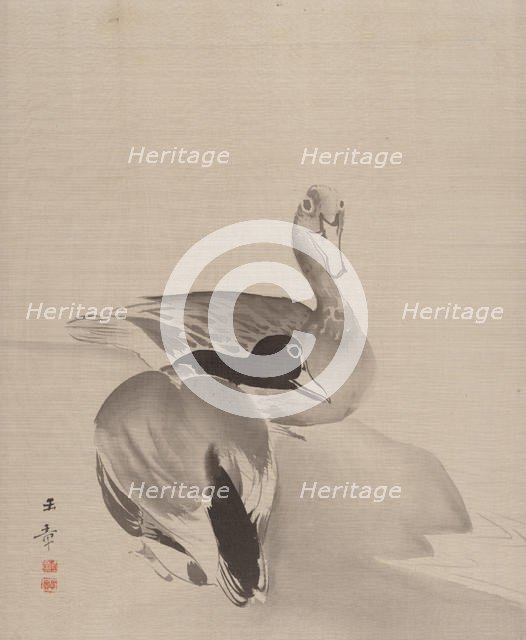 Pair of Ducks, 1887-92. Creator: Gyokusho Kawabata.