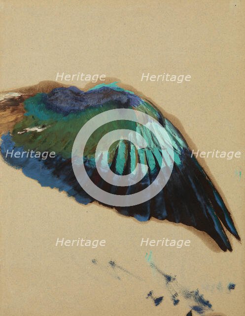 Study of a Wing-Study of a Fgure of "Inspiration" from the Curtain for the Municipal..., c1899. Creator: Henryk Siemiradzki.