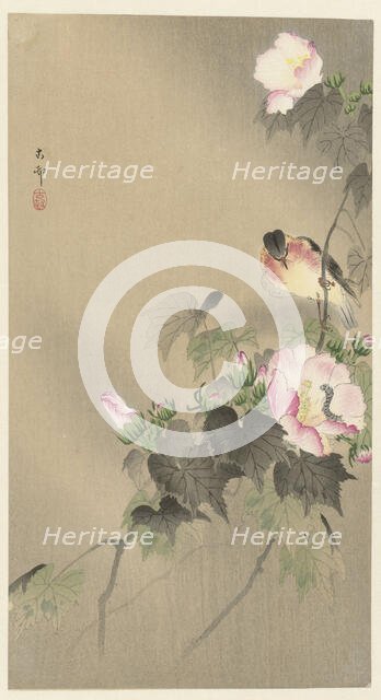 Bird and caterpillar, 1920-1930. Creator: Ohara, Koson (1877-1945).
