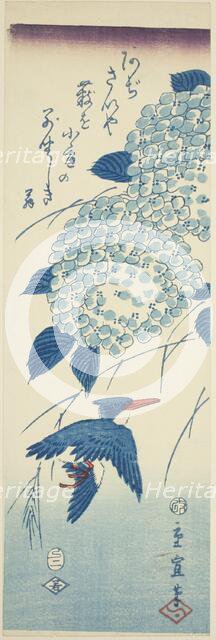 Kingfisher and hydrangea, 1857. Creator: Utagawa Hiroshige II.