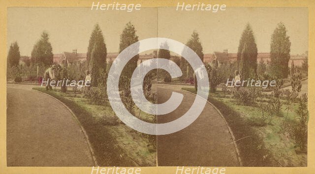 Shaw's Garden. North End. St. Louis, Missouri, about 1872-1874. Creator: Boehl & Koenig.