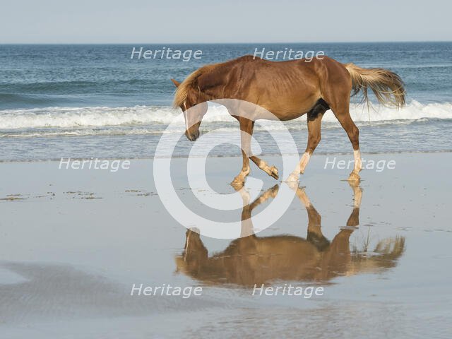 Bay Relection. Creator: Eve Turek.