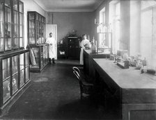 A physiology laboratory, either at the Institute of Experimental Medicine or at the Imperial...,1904 Creator: Unknown.