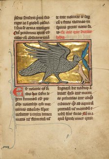 An Ibis with Two Fish in its Beak; De Natura Avium; De Pastoribus et Ovibus, 1277 or after. Creator: Unknown.