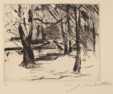 Bäume mit Sonne (Trees in the Sun), 1920-1921. Creator: Lovis Corinth.
