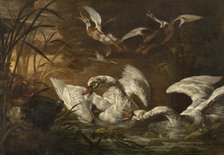 Swans and Dogs, c1640-1670. Creator: Nicasius Bernaerts.