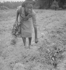 Thirteen year old daughter of Negro sharecropper..., Olive Hill, North Carolina, 1939. Creator: Dorothea Lange.