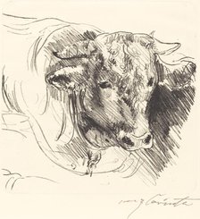 Stierkopf (Head of a Steer), 1912. Creator: Lovis Corinth.