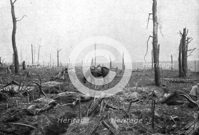 'Sur le rerrain de l'avance Francaise au sud de la Somme; dans le Bois Hache, le bien nomme..., 1916 Creator: Unknown.