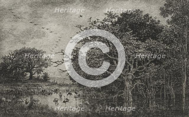 The Marsh with Storks, c. 1851. Creator: Charles François Daubigny (French, 1817-1878); Auguste Delâtre (2nd state); A. Salmon (6th state).