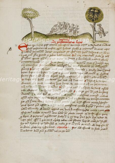A Flock of Birds under a Tree including a Crowned Eagle with a..., third quarter of 15th century. Creator: Unknown.