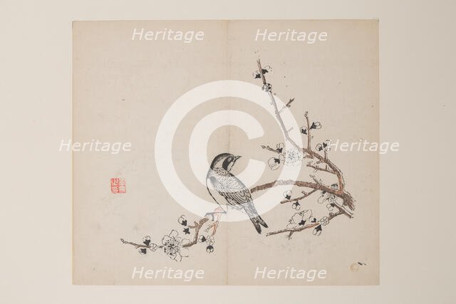 Page from Shi Zhu Zhai. Creator: Unknown.