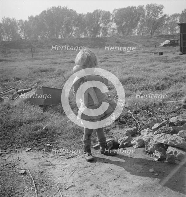 Daughter of a migrant fruit worker, American River camp outside of Sacramento, California, 1936. Creator: Dorothea Lange.