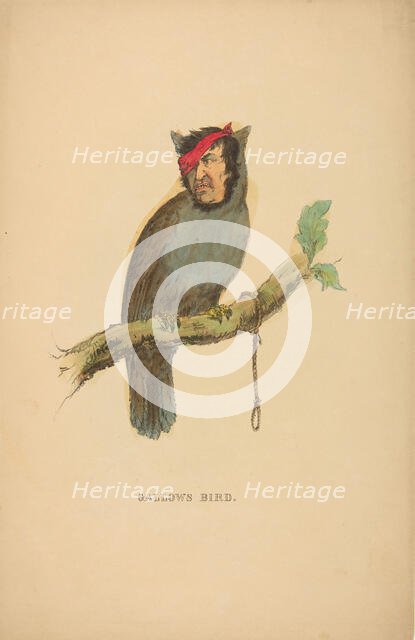 Gallows Bird, from The Comic Natural History of the Human Race, 1851. Creators: Henry Louis Stephens, L. Rosenthal.