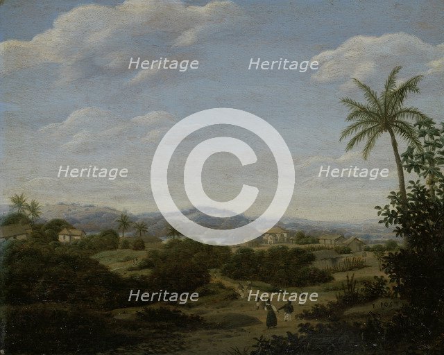 Brazilian Landscape.