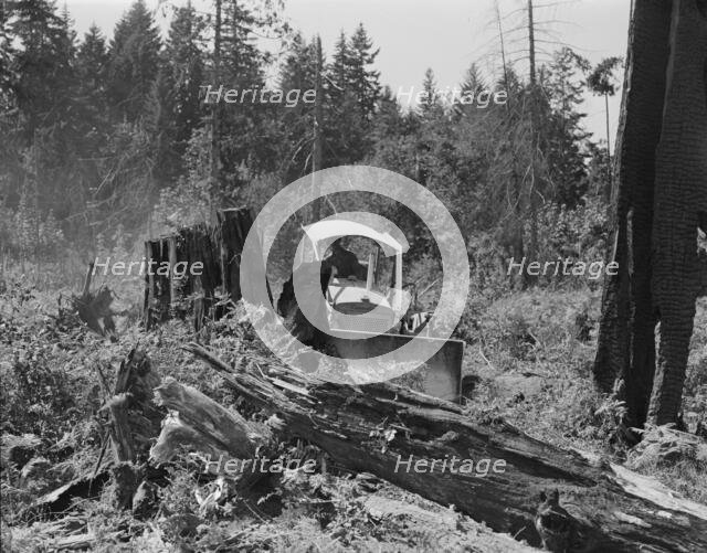 Bulldozer equipped with grader blade pushing over a..., Lewis County, near Vader, Washington, 1939. Creator: Dorothea Lange.
