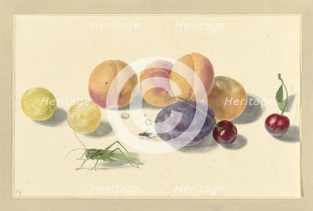 Peaches, plums, cherries and two bugs, 1818-1853. Creator: Elisabeth Geertruida van de Kasteele.