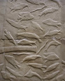 Fish relief, Mastaba of Kagemni, Saqqara, Egypt, Old Kingdom, 6th Dynasty, 2350 BC (2003). Creator: Unknown.