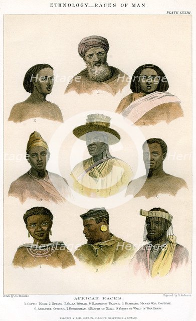 'Ethnology, Races of Man', 1800-1900.Artist: R Anderson