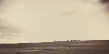 View of Fields with Cows, 1850s-1860s. Creator: Unknown.
