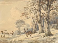 Deer under Beech Trees in Summer, 1853. Creator: Hendrik Gerrit ten Cate.