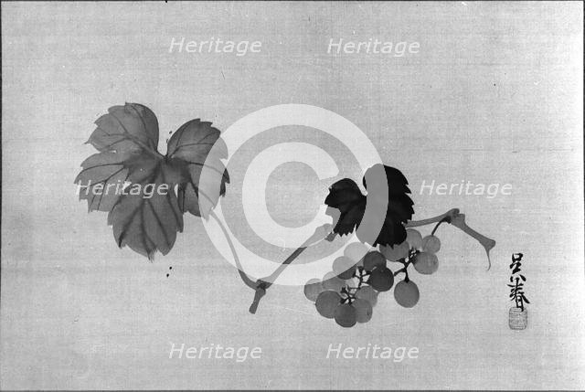 Grapevine, after 1790. Creator: Go Shun.