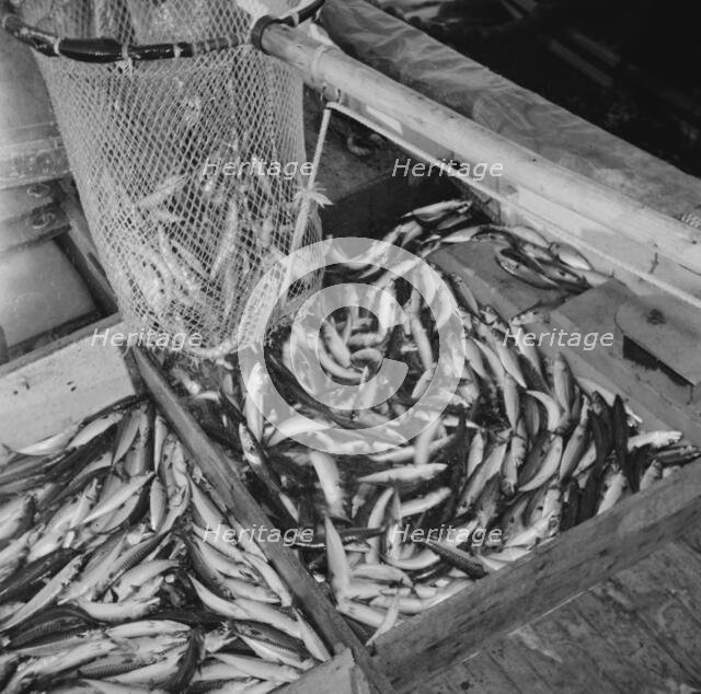 On board the fishing boat Alden, out of Gloucester, Massachusetts, 1943. Creator: Gordon Parks.