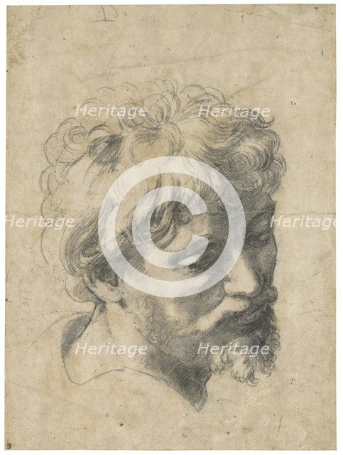 Head of a Young Apostle.