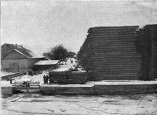 ''Reserve de bois sur une rive de la Dvina.', 1916. Creator: Unknown.