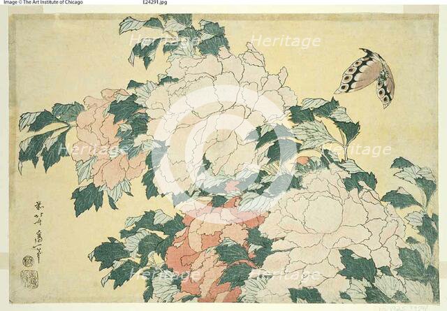 Peonies and Butterfly, from an untitled series of large flowers, Japan, c. 1833/34. Creator: Hokusai.