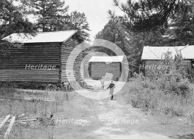 Tobacco barns on the Stone place, Upchurch, North Carolina, 1939. Creator: Dorothea Lange.