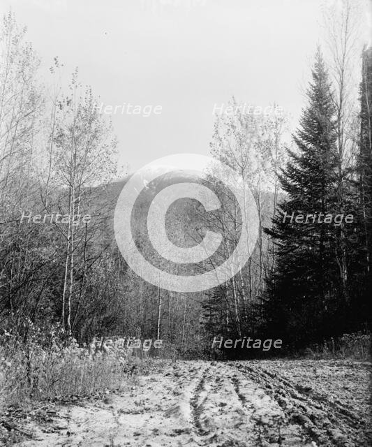 Mount Pleasant from base road, White Mountains, ca 1900. Creator: Unknown.