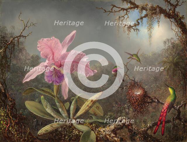 Cattleya Orchid and Three Hummingbirds, 1871. Creator: Martin Johnson Heade.