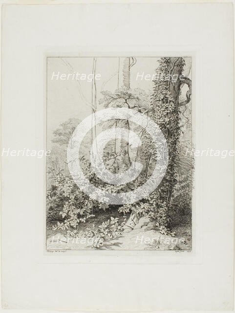 Bramble and Ivy, 1845. Creator: Eugene Blery.