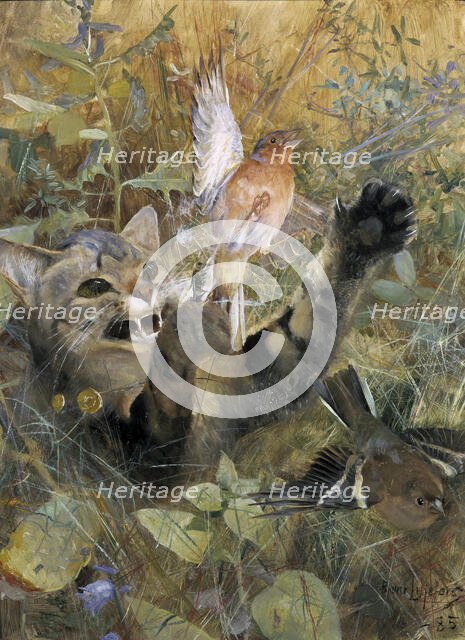 A Cat and a Chaffinch. Five animal studies in one frame, 1885. Creator: Bruno Liljefors.