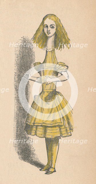 'Alice with a long neck', 1889. Artist: John Tenniel.